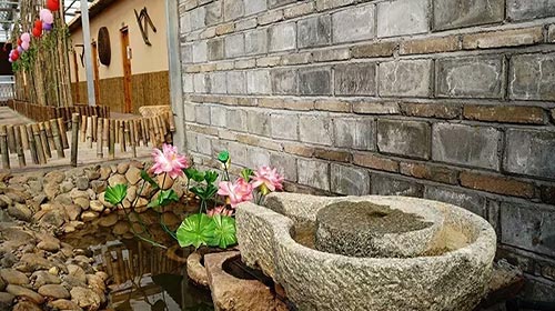 生態(tài)餐廳